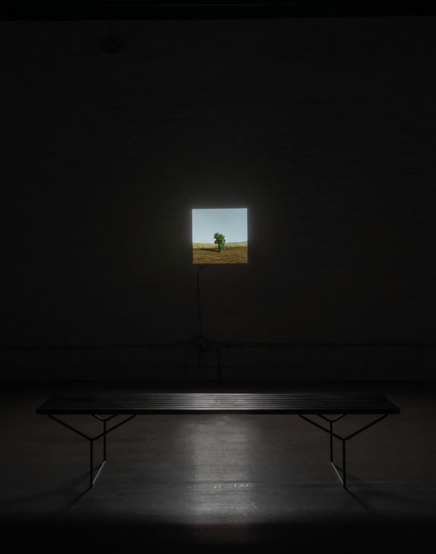 Untitled work