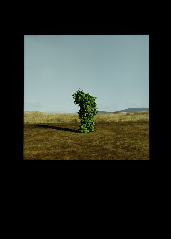 Untitled work