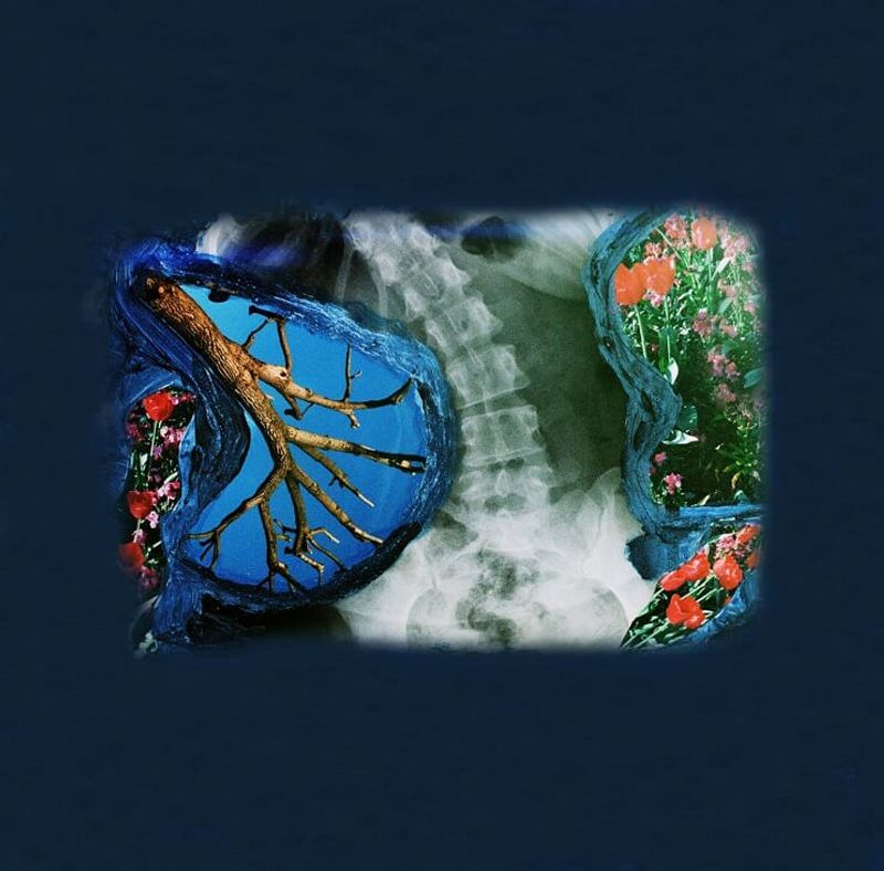 Seasons III