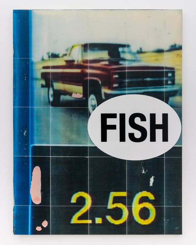 Fish