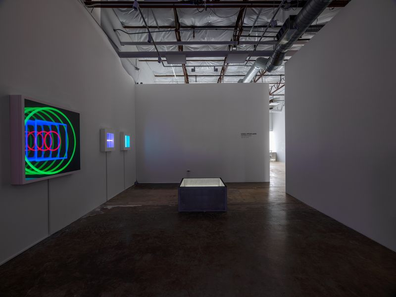 Chul-Hyun Ahn: Infinite Echo